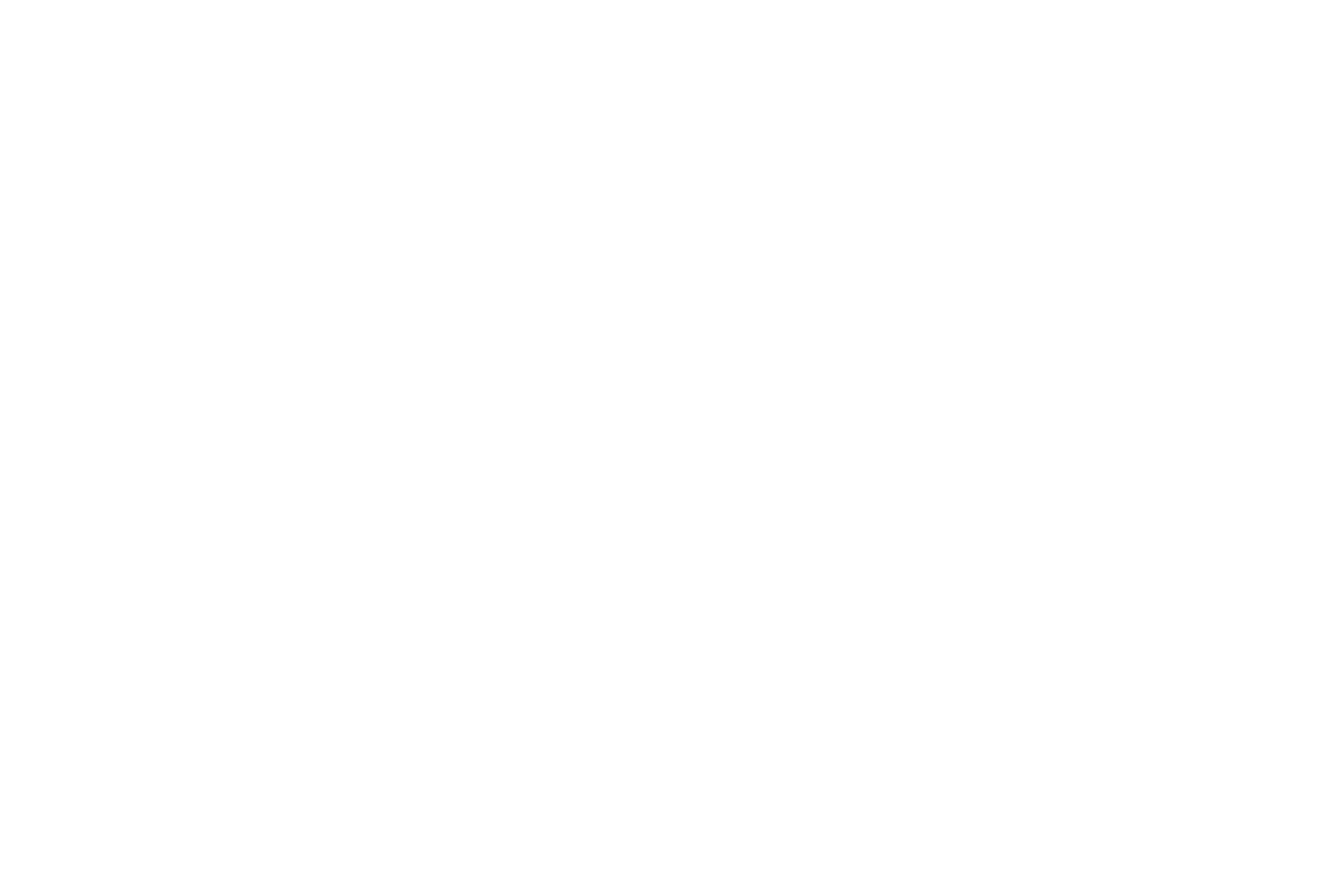 zifin concept